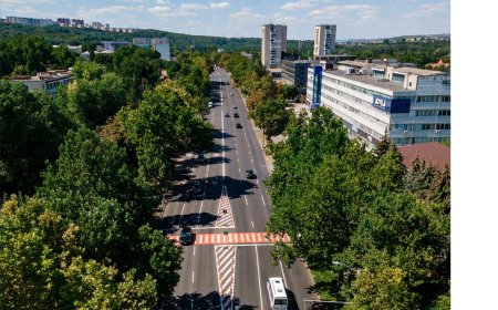 Evaluarea Performanței în Siguranța Traficului Rutier în R.M. în anul 2024